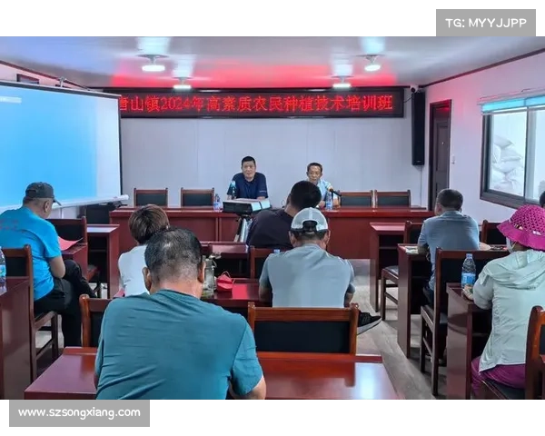 基于新型多维度技术的艾维娜问题创新解决方案研究与实践 基于新型多维度技术的艾维娜问题创新解决方案研究与实践