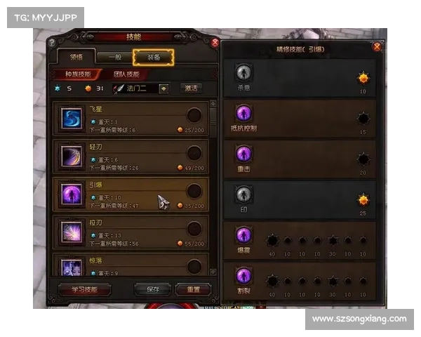 斗战神龙女刺客最佳技能搭配与装备选择指南全面解析