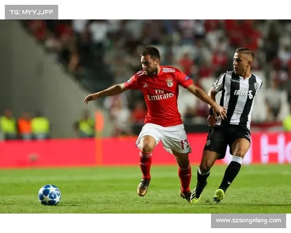 全面探索欧冠赛事的独特魅力与其在全球足球格局中的重要价值地位