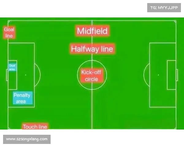 坎贝尔在足球场上的位置解析与战术应用全方位指南