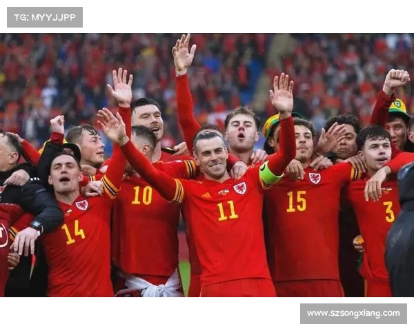 威尔士足球队2016年欧洲杯历史性闯入半决赛背后的故事与启示